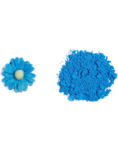 Polvo Comestible Petal Dust Azul Neón Brillante 4g - Brilla en la Oscuridad 2
