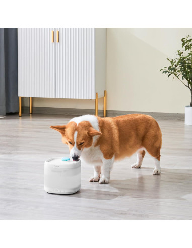 Filtro de Agua para Gatos PAWGETHER 3 Piezas 67oz/2L