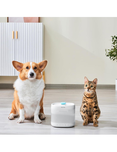 Filtro de Agua para Gatos PAWGETHER 3 Piezas 67oz/2L