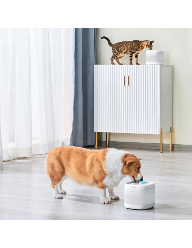 Filtro de Agua para Gatos PAWGETHER 3 Piezas 67oz/2L