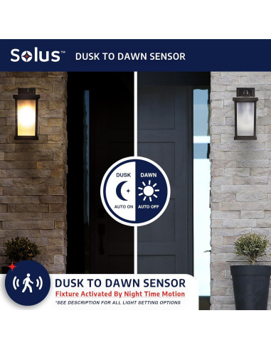 Luz de Pared de Seguridad Exterior Solus - Sensor Movimiento, Bronce