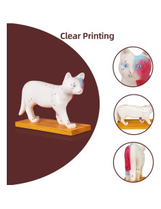 Modelo de Anatomía de Gato Simedutech con Acupuntura 25x15cm 2