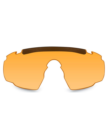 Lente Óxido Claro Wiley X 2025 - 22.86x15.24 cm