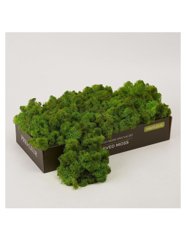 Musgo Preservado SZYD Verde Natural 0.39kg Decoración