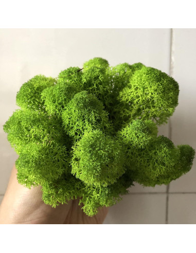 Musgo Preservado SZYD Verde Natural 0.39kg Decoración