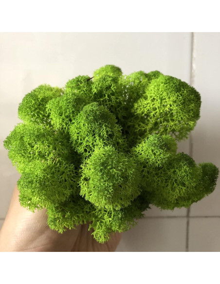 Musgo Preservado SZYD Verde Natural 0.39kg Decoración
