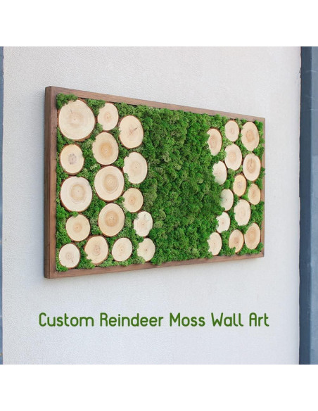 Musgo Preservado SZYD Verde Natural 0.39kg Decoración