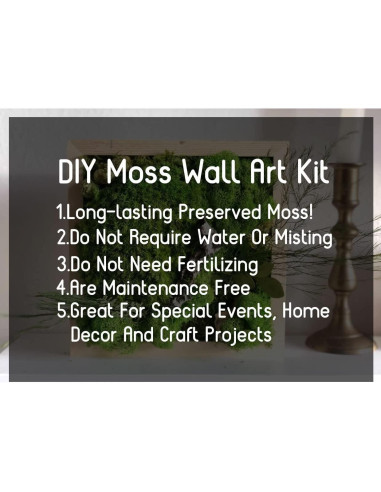 Musgo Preservado SZYD Verde Natural 0.39kg Decoración