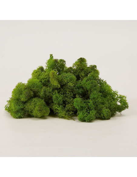 Musgo Preservado SZYD Verde Natural 0.39kg Decoración