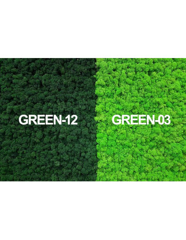 Musgo Preservado SZYD Verde Natural 0.39kg Decoración