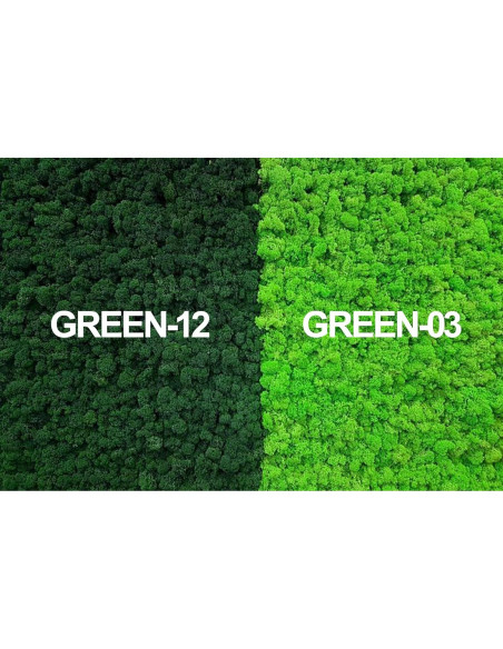 Musgo Preservado SZYD Verde Natural 0.39kg Decoración