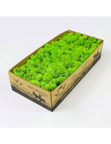 Musgo Preservado SZYD Verde Natural 0.39kg Decoración