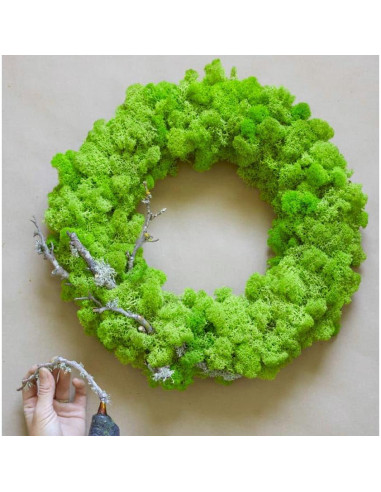 Musgo Preservado SZYD Verde Natural 0.39kg Decoración