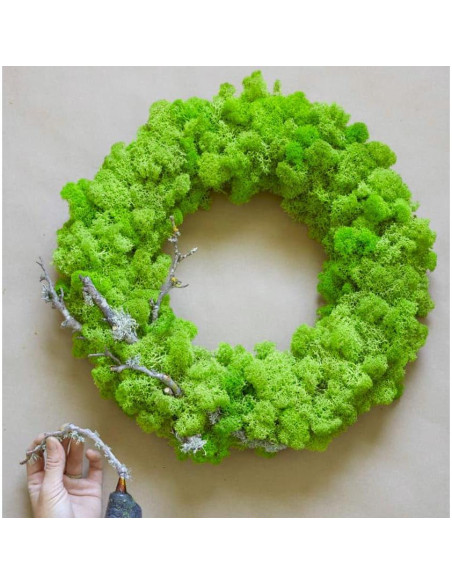 Musgo Preservado SZYD Verde Natural 0.39kg Decoración