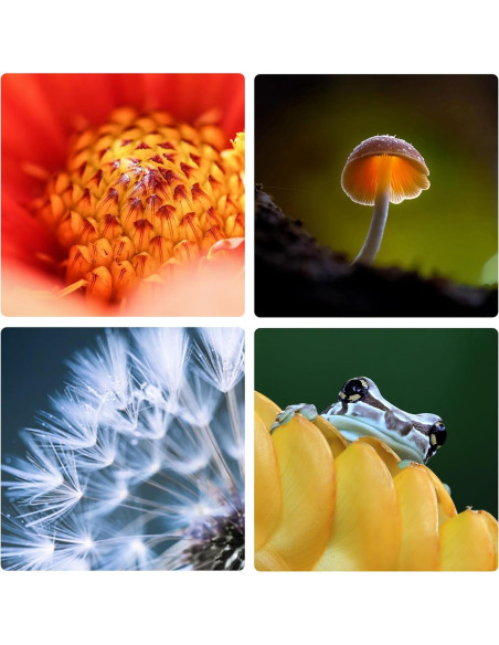 Anillos de Tubo de Extensión Macro VILTROX 12mm 24mm para Nikon Z