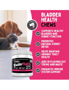 Suplemento de Arándano para Vejiga y Riñón de Perros y Gatos - 120g 2