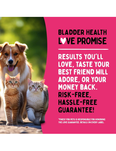 Suplemento de Arándano para Vejiga y Riñón de Perros y Gatos - 120g