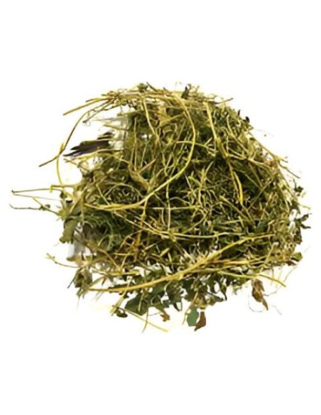 Té Orgánico Cerasee MOTHERLAND GOODS 21.26 g - Hojas de Melón Amargo