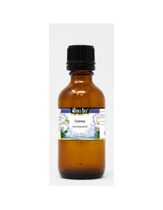 Aceite Esencial Puro de Comino Bianca Rosa 48 ml - Paquete de 3 2