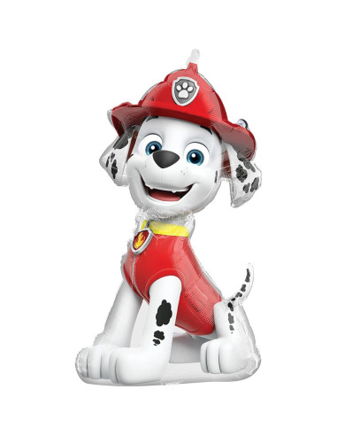 Ramo de Globos Anagram Paw Patrol Marshall y Amigos