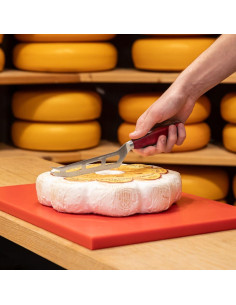 Cuchillo de Queso Profesional BOSKA Rojo 120 mm Multiuso 2
