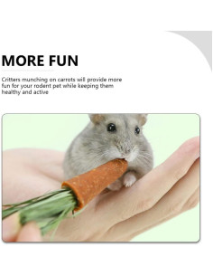 18 Juguetes de Masticar para Conejos y Hámsters Ipetboom 2