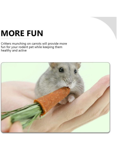 18 Juguetes de Masticar para Conejos y Hámsters Ipetboom