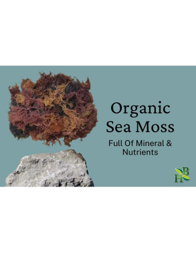 Musgo Marino Irlandés Herb To Body 113g - 100% Natural y Sostenible