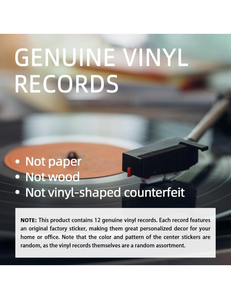 Leptetek 12 Piezas Decoraciones de Discos de Vinilo Vintage