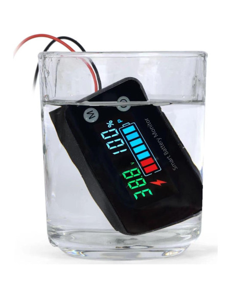 Monitor de Batería IPX7 hwnguJ AA-01 12V-72V con Alarma