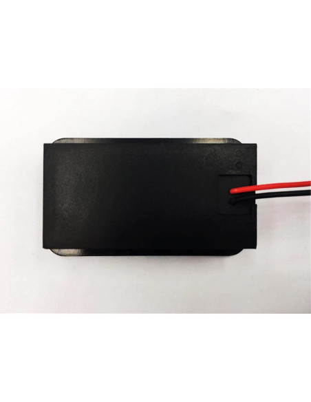 Monitor de Batería IPX7 hwnguJ AA-01 12V-72V con Alarma