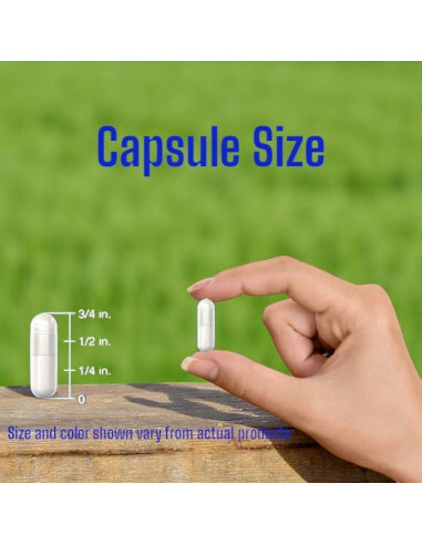 Suplemento de Pygeum Africanum VitaCosmoX 240 Cápsulas Veganas