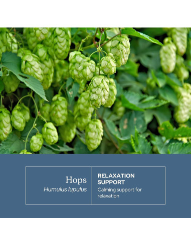 Cápsulas de Lúpulo Ecléctico 90 CT | Suplemento Herbal Vegano