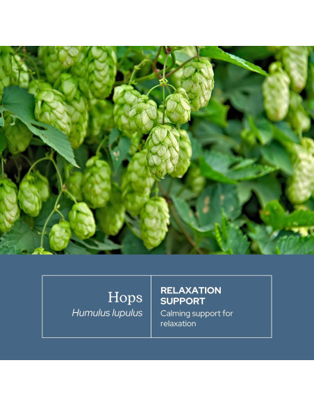 Cápsulas de Lúpulo Ecléctico 90 CT | Suplemento Herbal Vegano