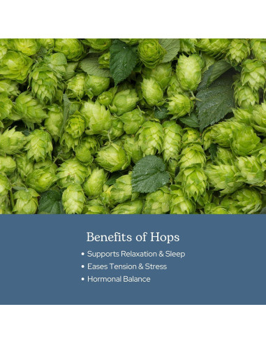 Cápsulas de Lúpulo Ecléctico 90 CT | Suplemento Herbal Vegano