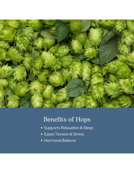 Cápsulas de Lúpulo Ecléctico 90 CT | Suplemento Herbal Vegano
