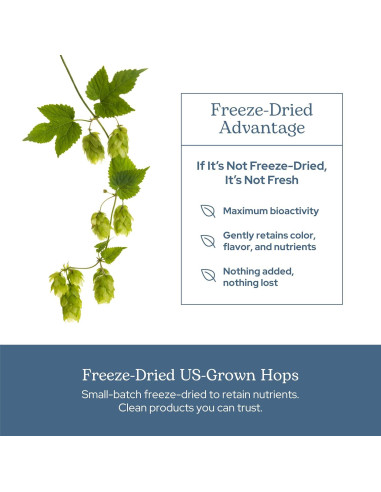 Cápsulas de Lúpulo Ecléctico 90 CT | Suplemento Herbal Vegano