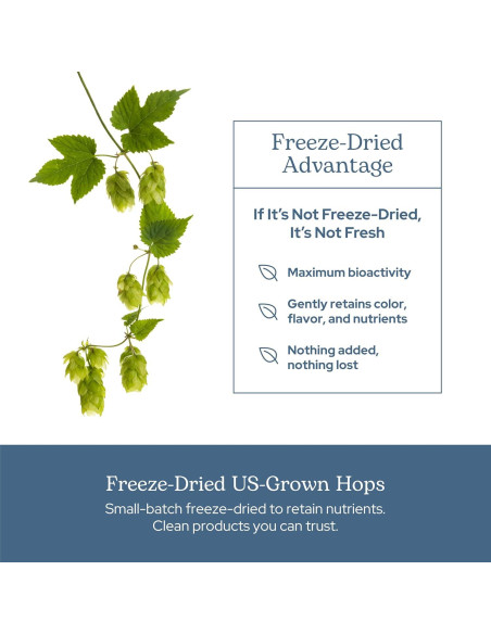 Cápsulas de Lúpulo Ecléctico 90 CT | Suplemento Herbal Vegano