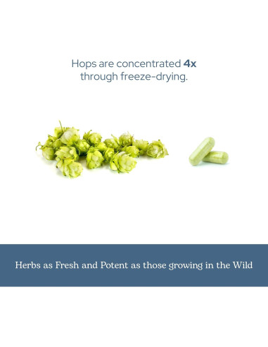 Cápsulas de Lúpulo Ecléctico 90 CT | Suplemento Herbal Vegano