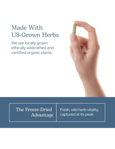 Cápsulas de Lúpulo Ecléctico 90 CT | Suplemento Herbal Vegano