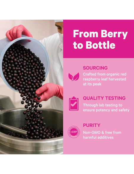 Pink Stork Vitex Orgánico 1000 mg - Baya del Árbol de la Castidad - 60 Cápsulas Veganas