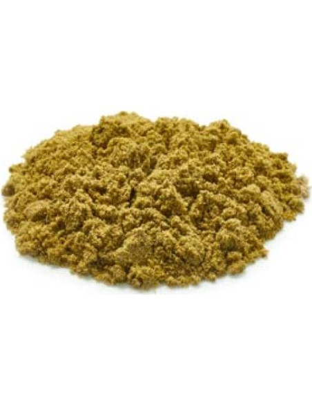 Polvo de Proteína de Cáñamo Yupik 50% 248 Gramos