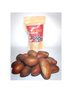 Nueces de Kola Amarga Dibeson 142g Orgánicas de África