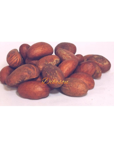 Nueces de Kola Amarga Dibeson 142g Orgánicas de África