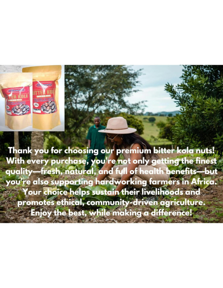 Nueces de Kola Amarga Dibeson 142g Orgánicas de África