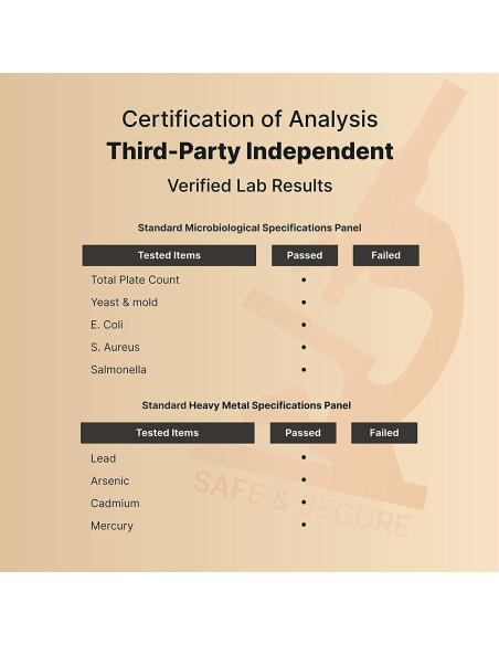 NatureBell Benfotiamina 300mg y Tiamina 100mg - 240 Cápsulas Vegetales