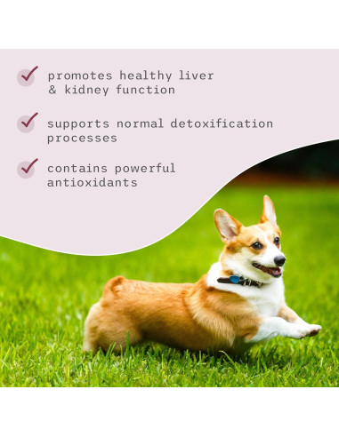 Suplemento Detox Bark & Whiskers 51g - Salud Hepática y Renal