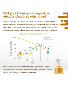 Jengibre Liposomal NuraFuse 150 Cápsulas - Salud Digestiva 2