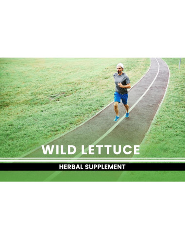 Cápsulas de Lechuga Silvestre 365 - Ingredientes Originales Puros