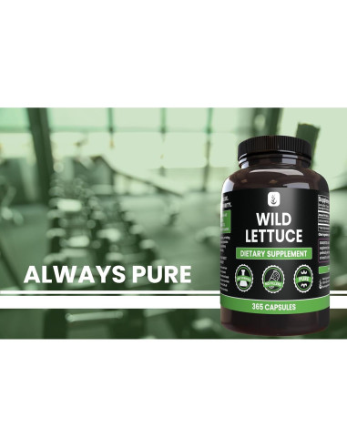 Cápsulas de Lechuga Silvestre 365 - Ingredientes Originales Puros